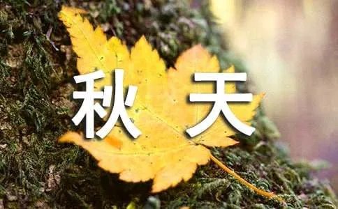 描写秋天景色的优美段落
