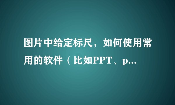 图片中给定标尺，如何使用常用的软件（比如PPT、photoshop）测量长度？