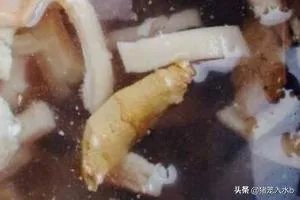 怎样做皮冻？