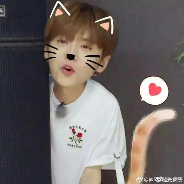 如何评价鹿晗和迪丽热巴吗?他们是不是特别合适?