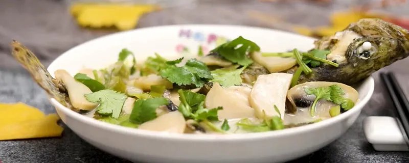 鳜鱼的做法 鳜鱼怎么吃味道好