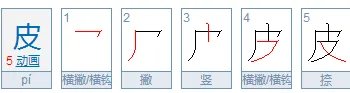 皮的结构是什么