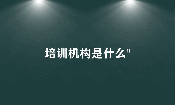 培训机构是什么