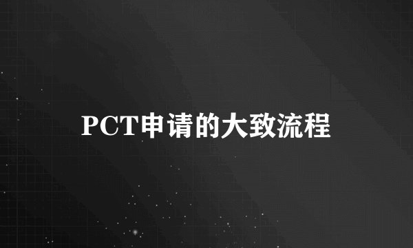 PCT申请的大致流程