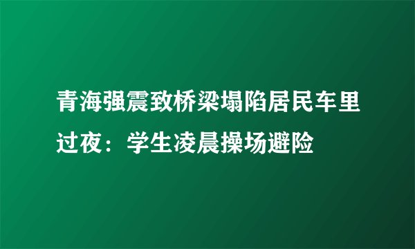 青海强震致桥梁塌陷居民车里过夜：学生凌晨操场避险