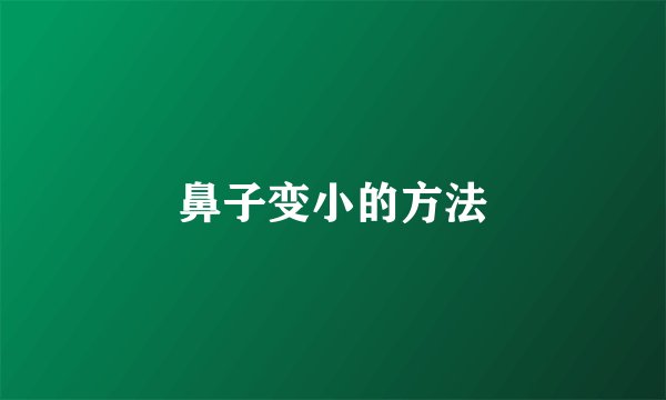 鼻子变小的方法