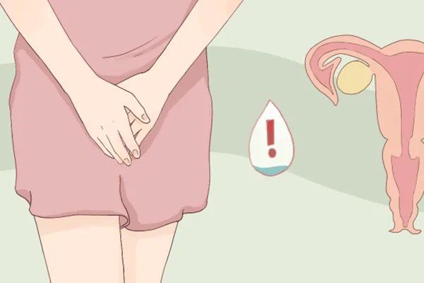 妇炎洁的作用