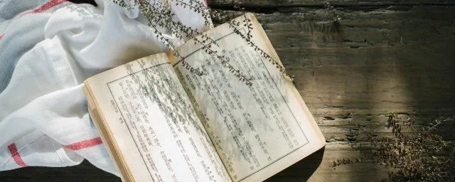 赢渠梁简介