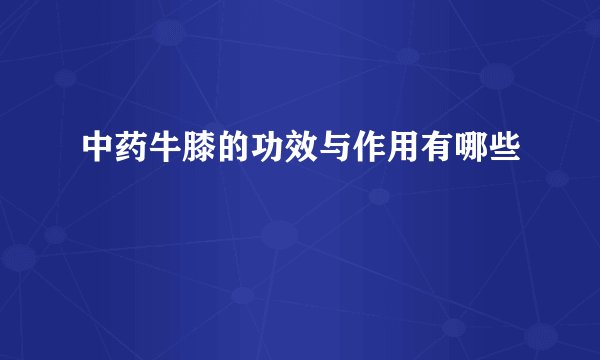 中药牛膝的功效与作用有哪些
