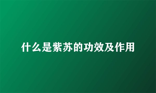 什么是紫苏的功效及作用