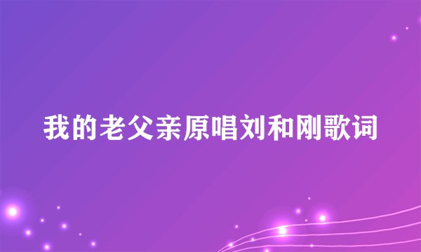 我的老父亲原唱刘和刚歌词