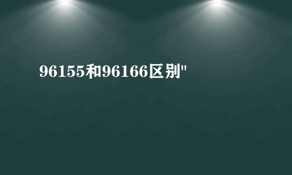 96155和96166区别