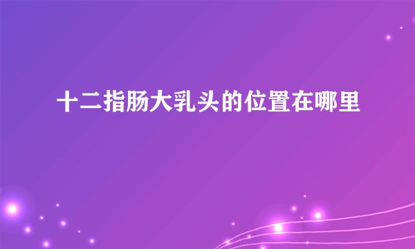 十二指肠大乳头的位置在哪里