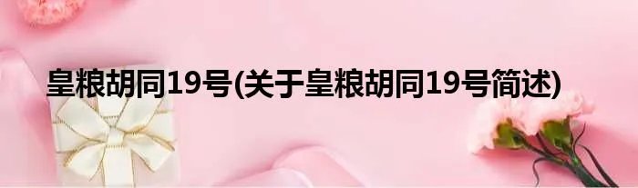 皇粮胡同19号(关于皇粮胡同19号简述)