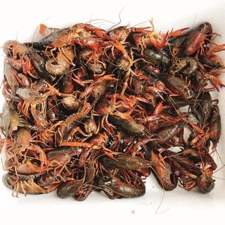 蒜香小龙虾