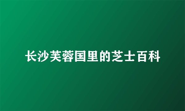 长沙芙蓉国里的芝士百科