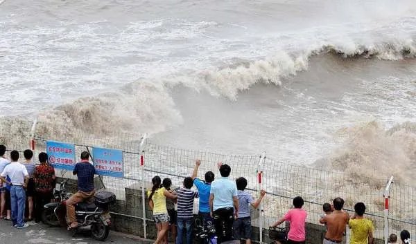 风号浪吼是什么意思