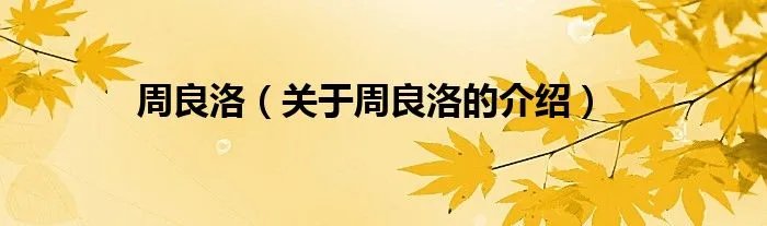 周良洛（关于周良洛的介绍）