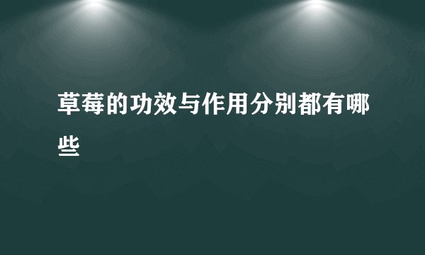草莓的功效与作用分别都有哪些