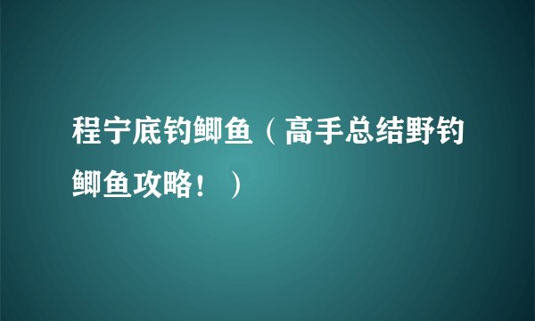 程宁底钓鲫鱼（高手总结野钓鲫鱼攻略！）