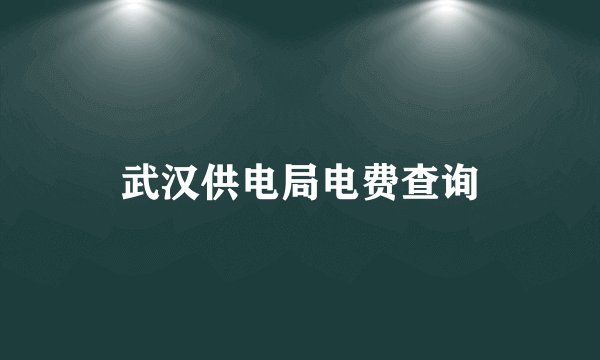 武汉供电局电费查询