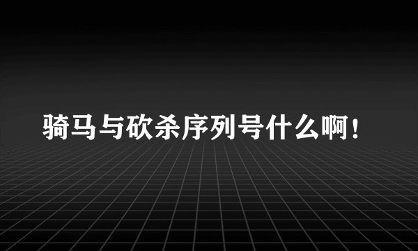 骑马与砍杀序列号什么啊！