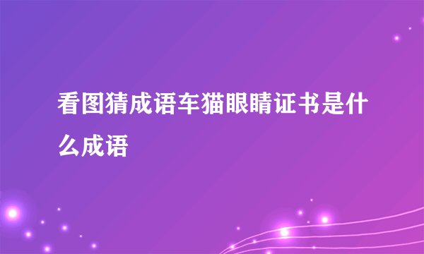 看图猜成语车猫眼睛证书是什么成语