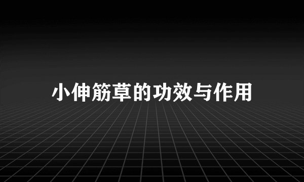小伸筋草的功效与作用