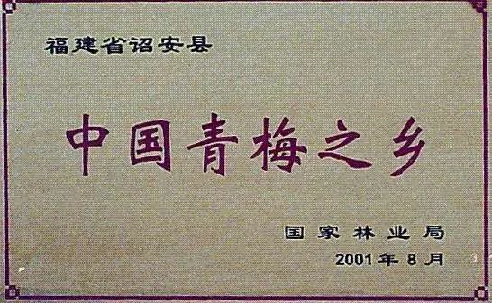中国青梅之乡是长寿乡吗？