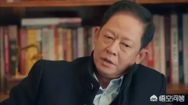 你怎么看电视剧《归去来》中王志文扮演的书望?