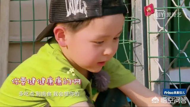 邓莎家的大麟子你们喜欢吗?