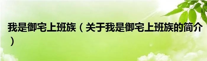 我是御宅上班族（关于我是御宅上班族的简介）