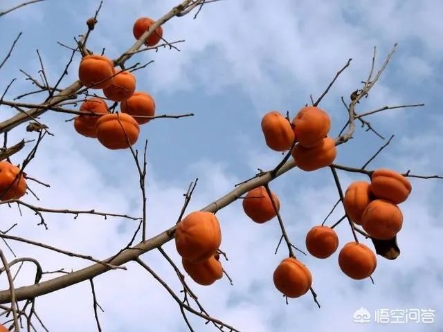 我在马路边捡到一分钱这首歌的最后一句的歌词是什么?