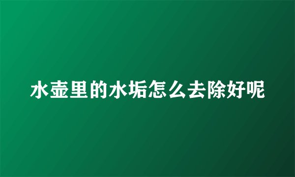 水壶里的水垢怎么去除好呢