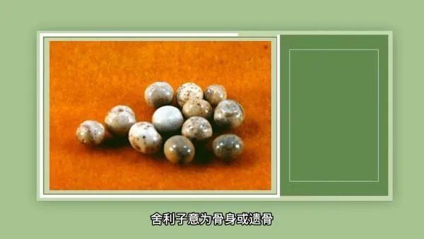 舍利子是什么东西？