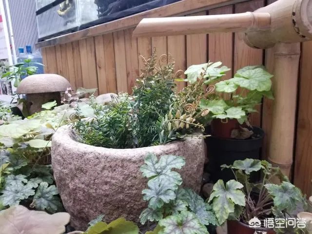 自驾游,你遇到过艳遇吗?哪里的景区才能遇到?
