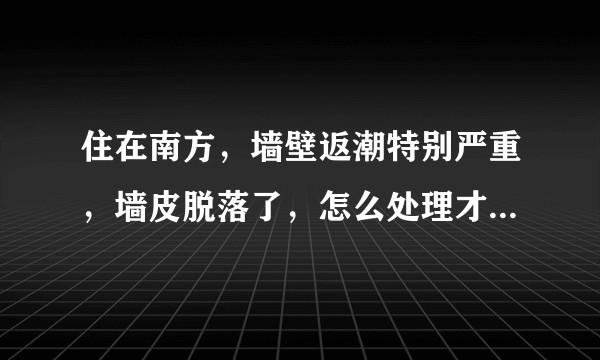 住在南方，墙壁返潮特别严重，墙皮脱落了，怎么处理才能防潮？