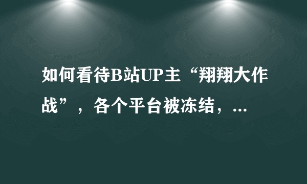 如何看待B站UP主“翔翔大作战”,各个平台被冻结,暂时与震惊文化传媒走法律程序?