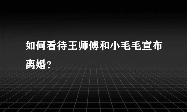 如何看待王师傅和小毛毛宣布离婚？