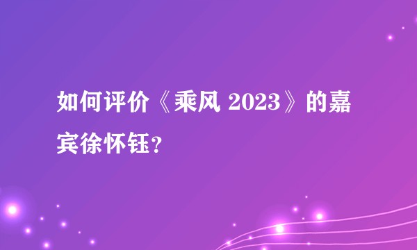 如何评价《乘风 2023》的嘉宾徐怀钰？
