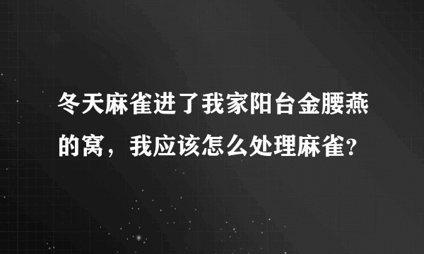 冬天麻雀进了我家阳台金腰燕的窝，我应该怎么处理麻雀？