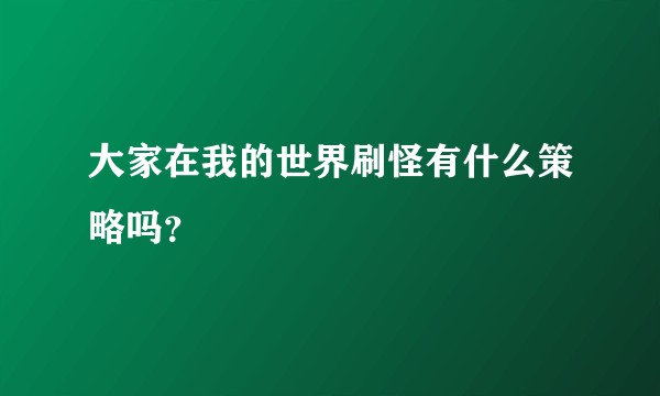 大家在我的世界刷怪有什么策略吗？