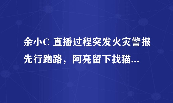 余小C 直播过程突发火灾警报先行跑路，阿亮留下找猫，如何评价两人的价值观？