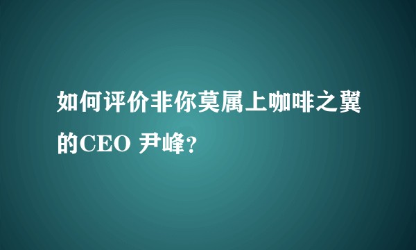 如何评价非你莫属上咖啡之翼的CEO 尹峰?