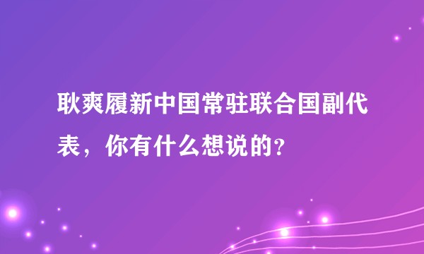 耿爽履新中国常驻联合国副代表，你有什么想说的？