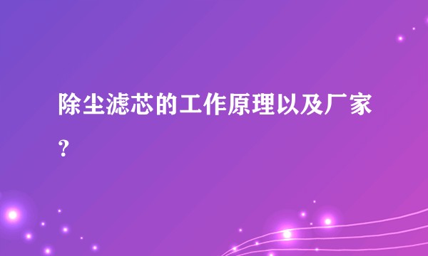 除尘滤芯的工作原理以及厂家?