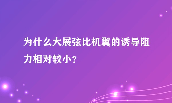 为什么大展弦比机翼的诱导阻力相对较小？