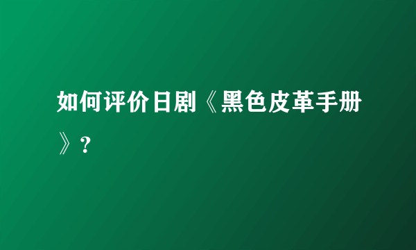 如何评价日剧《黑色皮革手册》？