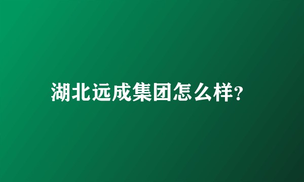 湖北远成集团怎么样？