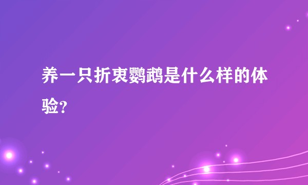 养一只折衷鹦鹉是什么样的体验?